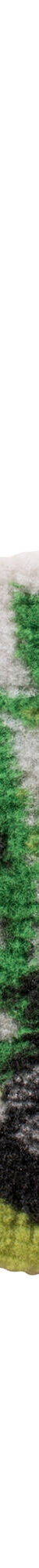 Tapis de bain Zen (vert) Tapis de bain Zen (vert)